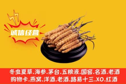 商洛回收冬虫夏草